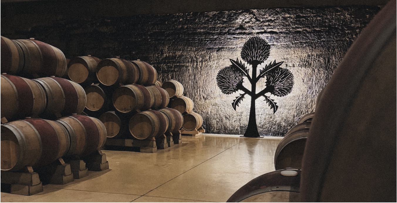 A Journey through Rioja