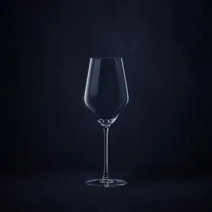 Spiegelau Authentis Red Wine / Water Goblet (4-pack)
