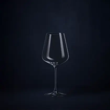 Spiegelau Definition Bordeaux Glass (2 Pack)