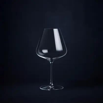 Spiegelau Definition Burgundy Glass (2-Pack)
