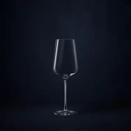Spiegelau Definition White Wine Glass (2-pack)