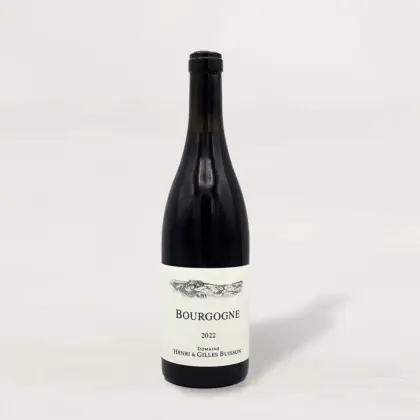 Domaine Henri & Gilles Buisson Bourgogne Rouge 2022