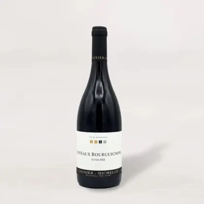 Domaine Lignier-Michelot Coteaux Bourguignon 2022