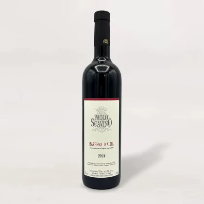 Paola Scavino Barbera d'Alba 2024