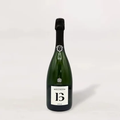 Bollinger B16