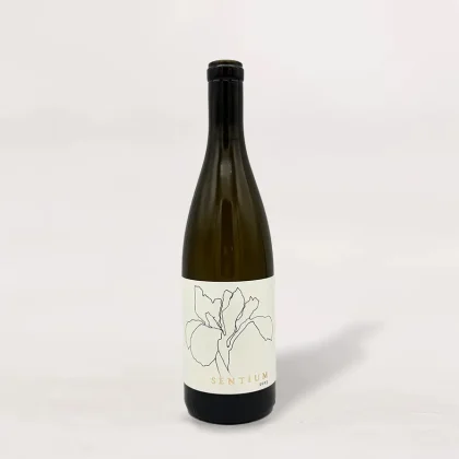 Continuum Sentium Sauvignon Blanc 2023