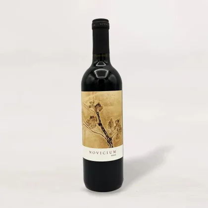 Continuum Novicium 2022