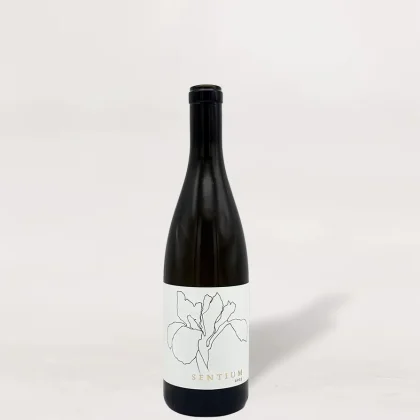Continuum Sentium Sauvignon Blanc 2023