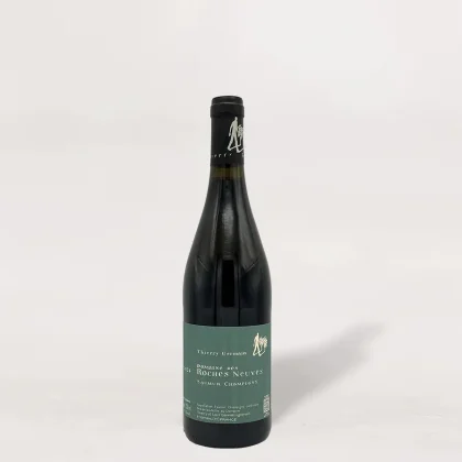 Thierry Germain Saumur-Champigny 2024