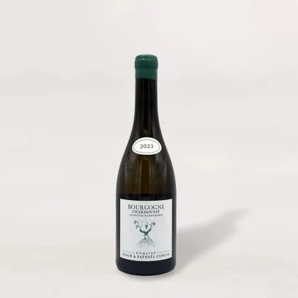 Domaine Alain and Raphael Corcia Bourgogne Blanc Cote Chalonnaise Les Petits Champs Ronds 2023