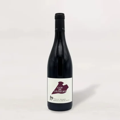 Thierry Germain 'Clos de L'Echelier' Saumur Champigny 2023