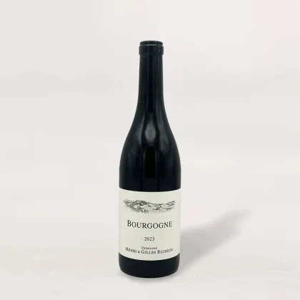 Domaine Henri & Gilles Buisson Bourgogne Blanc 2023